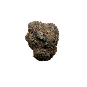 Alien Dawg 